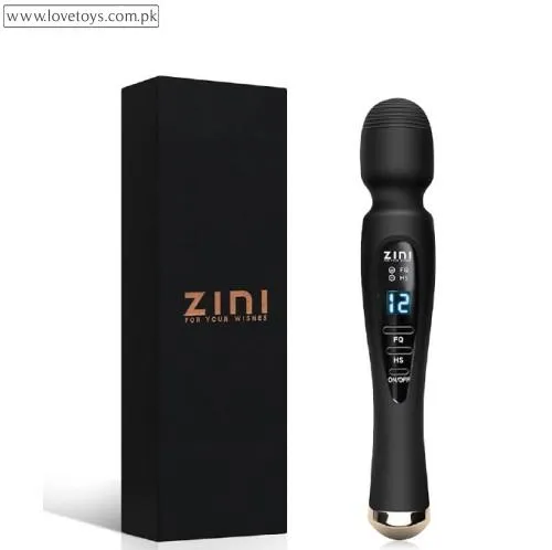 Handheld Massager for Back Cordless Massager