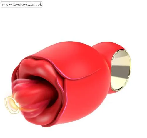 Vibrator Adult Sex Toys for Woman