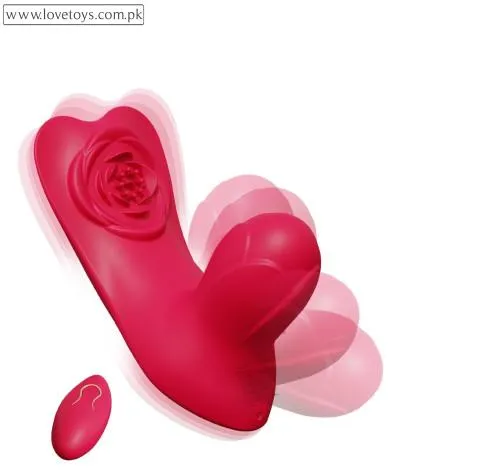 Wearable Panty Vibrator with Remote 